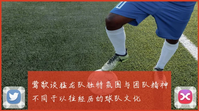 莺歌谈猛龙队独特氛围与团队精神不同于以往经历的球队文化
