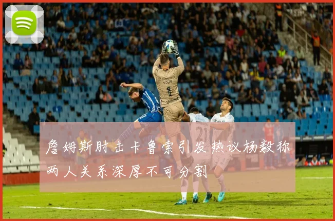詹姆斯肘击卡鲁索引发热议杨毅称两人关系深厚不可分割