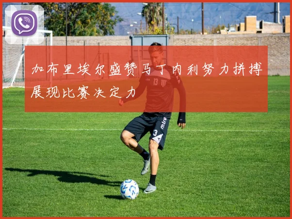加布里埃尔盛赞马丁内利努力拼搏展现比赛决定力
