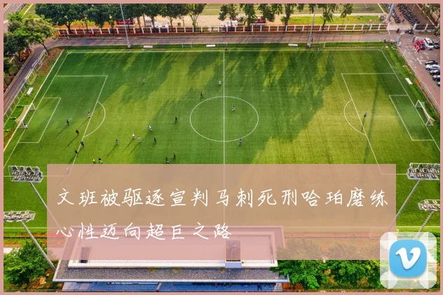 文班被驱逐宣判马刺死刑哈珀磨练心性迈向超巨之路